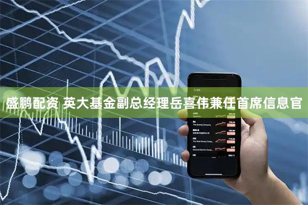 盛鹏配资 英大基金副总经理岳喜伟兼任首席信息官