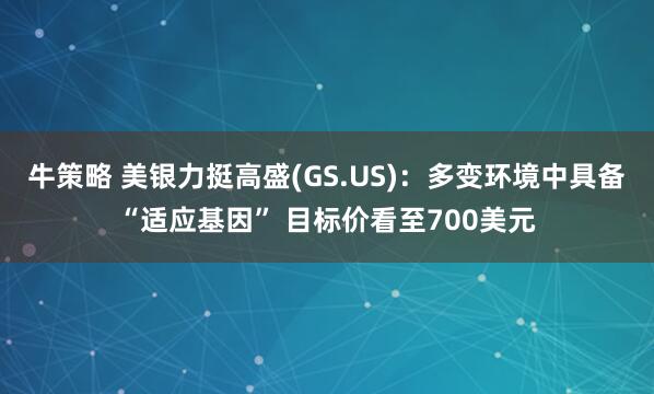牛策略 美银力挺高盛(GS.US)：多变环境中具备“适应基因” 目标价看至700美元